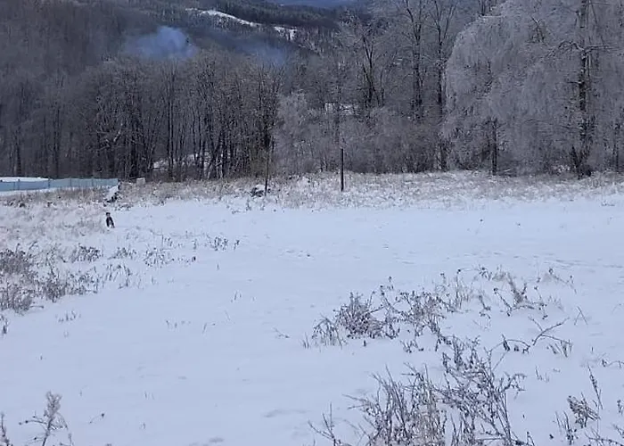 Дом отдыха Zajac