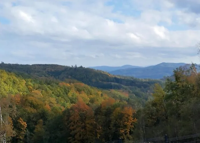 Дом отдыха Zajac Wilcza